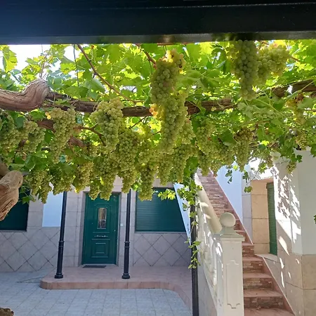 Casa Rural La Del Alba Seria Argamasilla De Alba Exterior photo