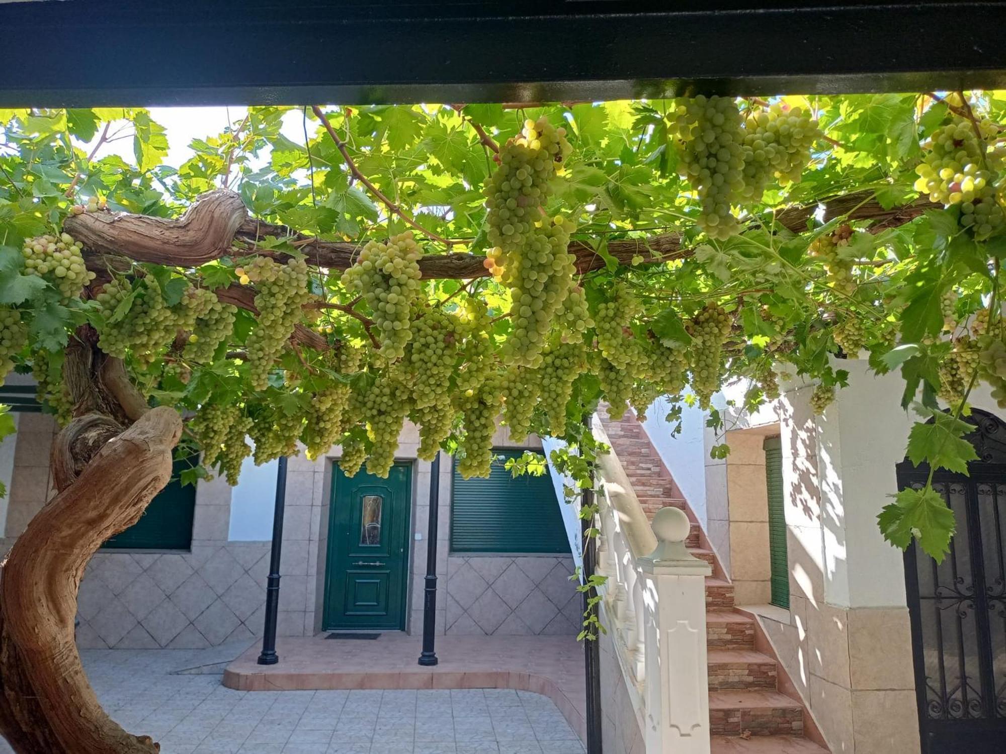 La Del Alba Seria